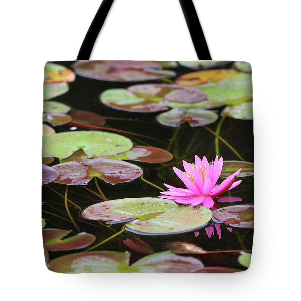 Lily Tote Bag featuring the photograph Me and My Reflection by Mary Anne Delgado