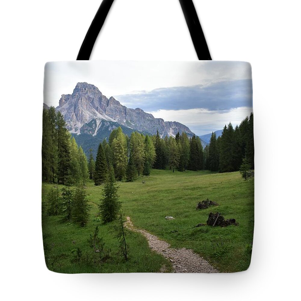 Dolomites Tote Bag featuring the photograph Meadow in the dolomites by Luca Lautenschlaeger