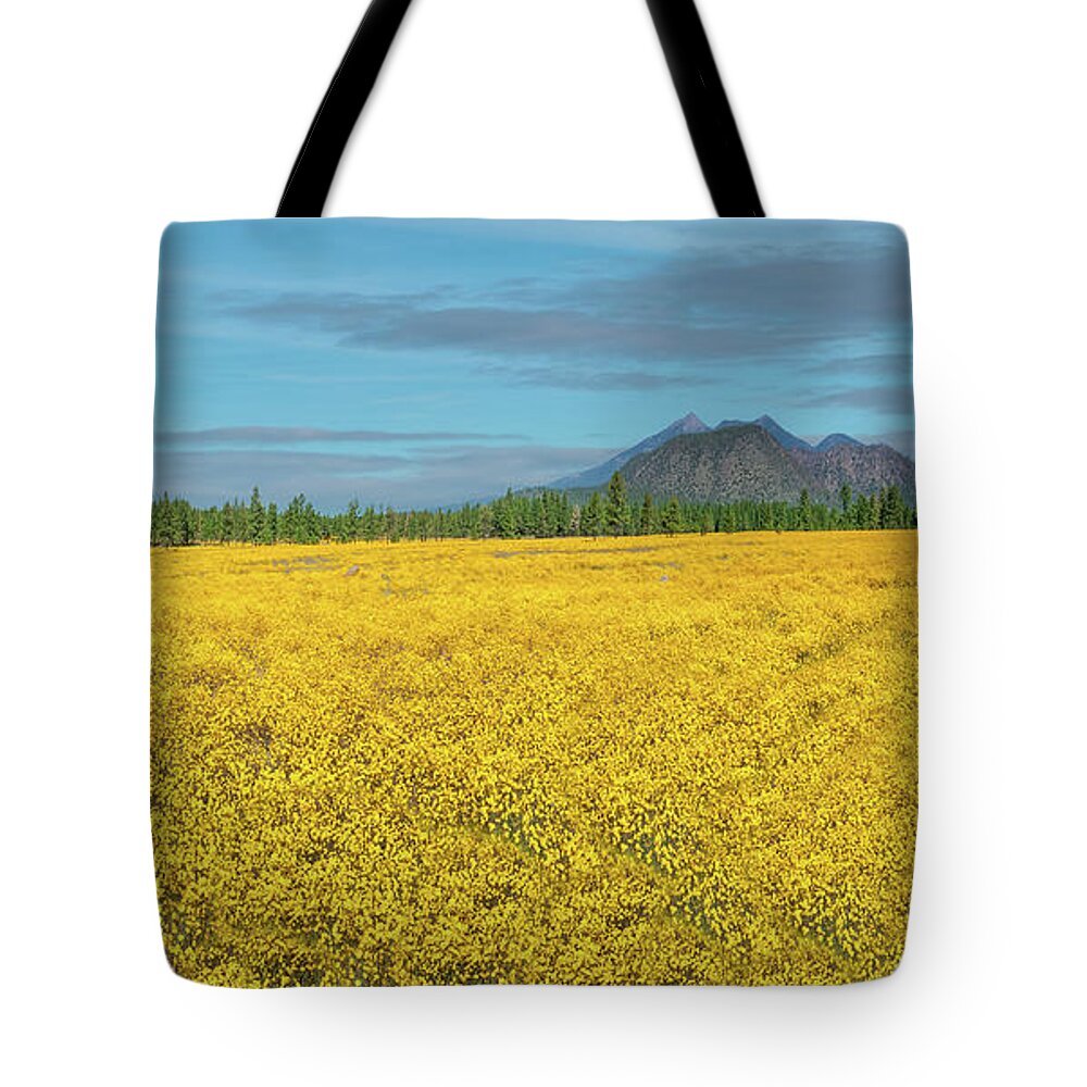 Arizona Tote Bag featuring the photograph Meadow of Yellow Wildflowers by Jeff Goulden