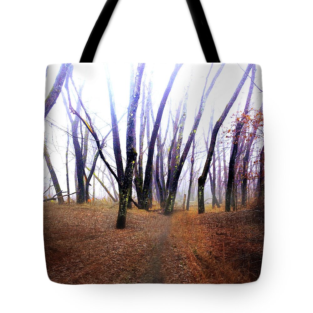 Meditation Tote Bag featuring the photograph Meditation on Fear by Wayne King