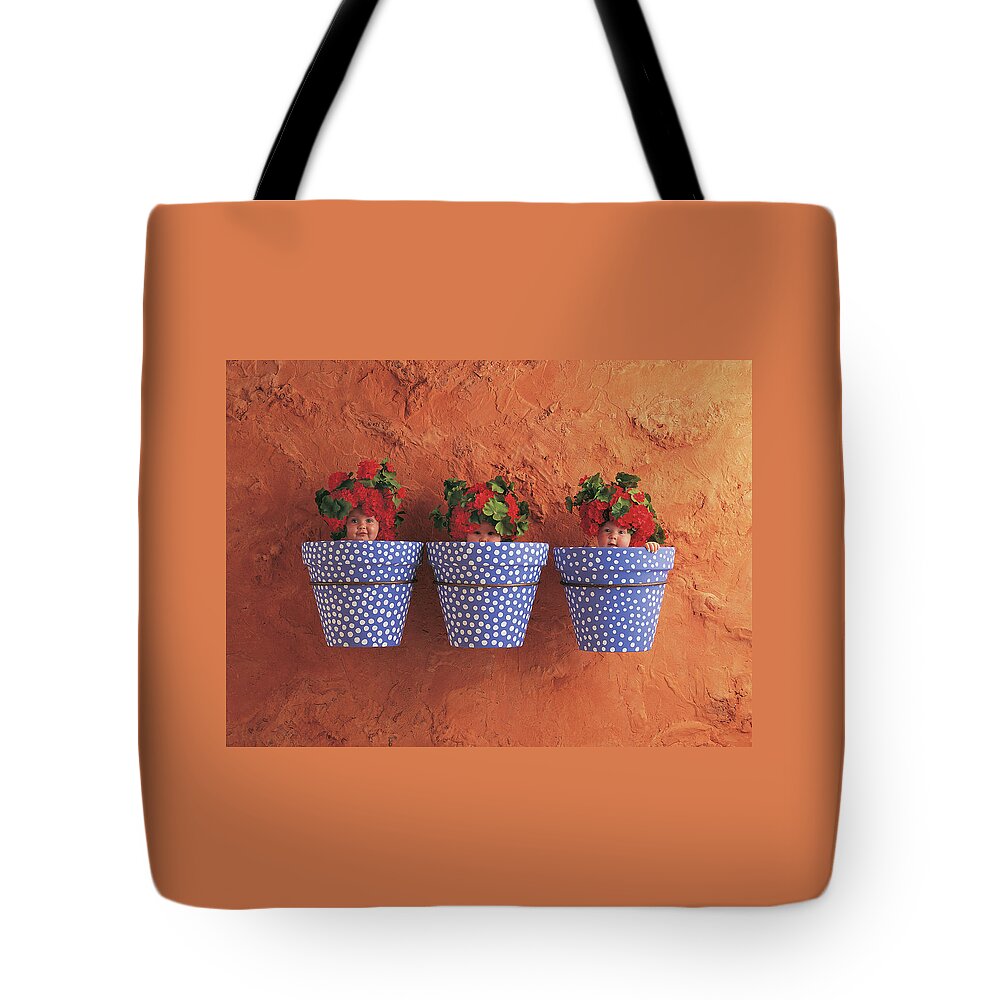 Color Tote Bag featuring the photograph Mediterranean Pots by Anne Geddes