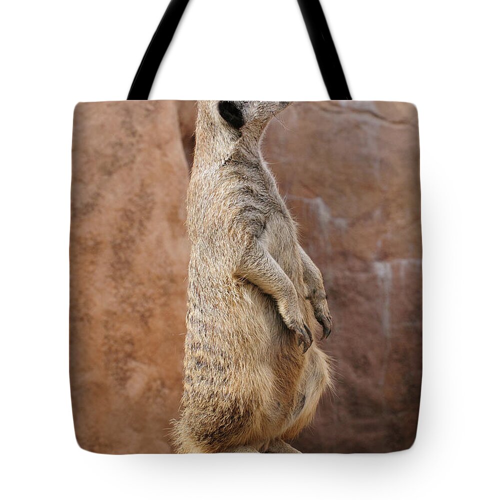 Alert Tote Bag featuring the photograph Meerkat Sentry 1 Meerkat sentry standing guard duty perched on a rock by Tom Potter