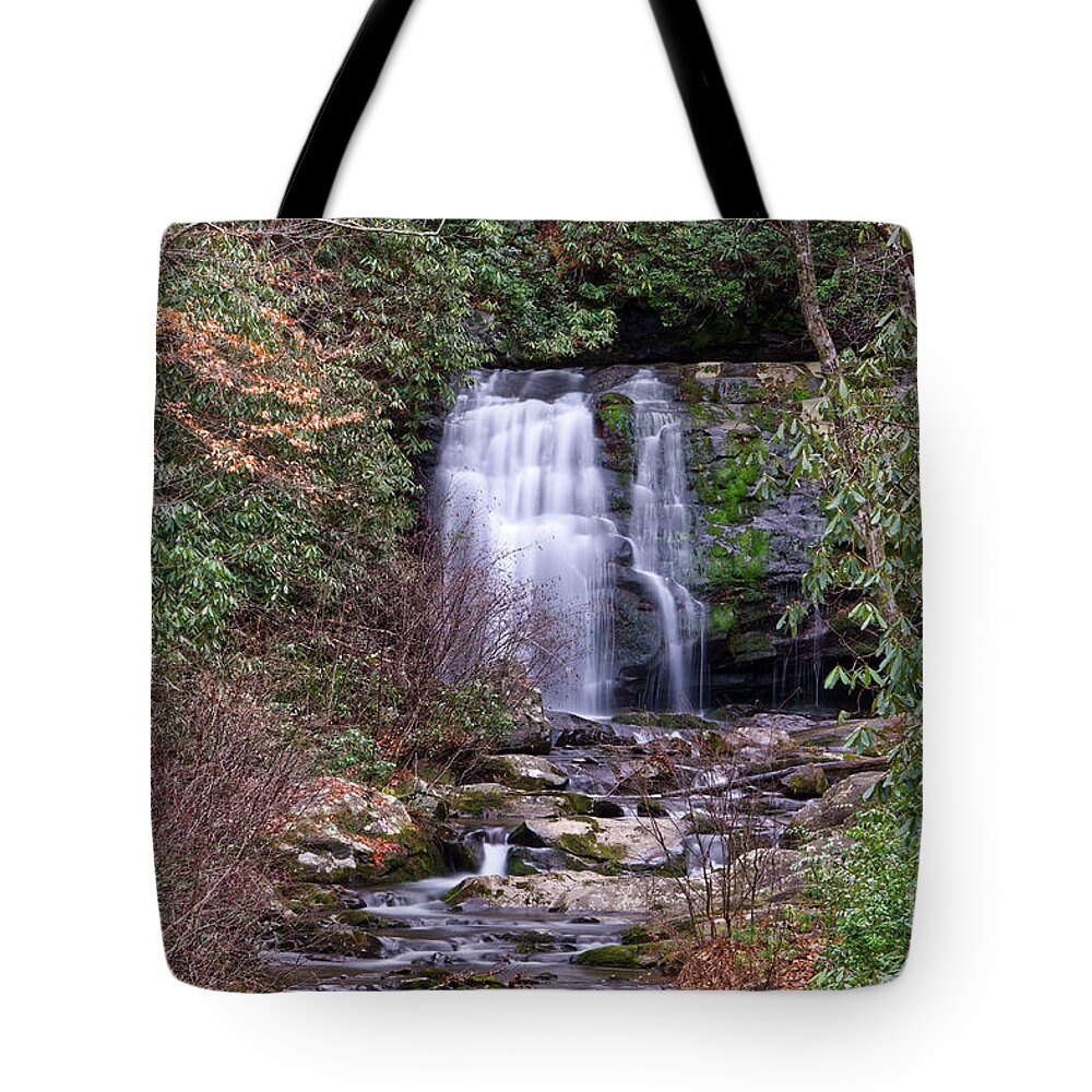 Meigs Falls Tote Bag featuring the photograph Meigs Falls 11 by Phil Perkins