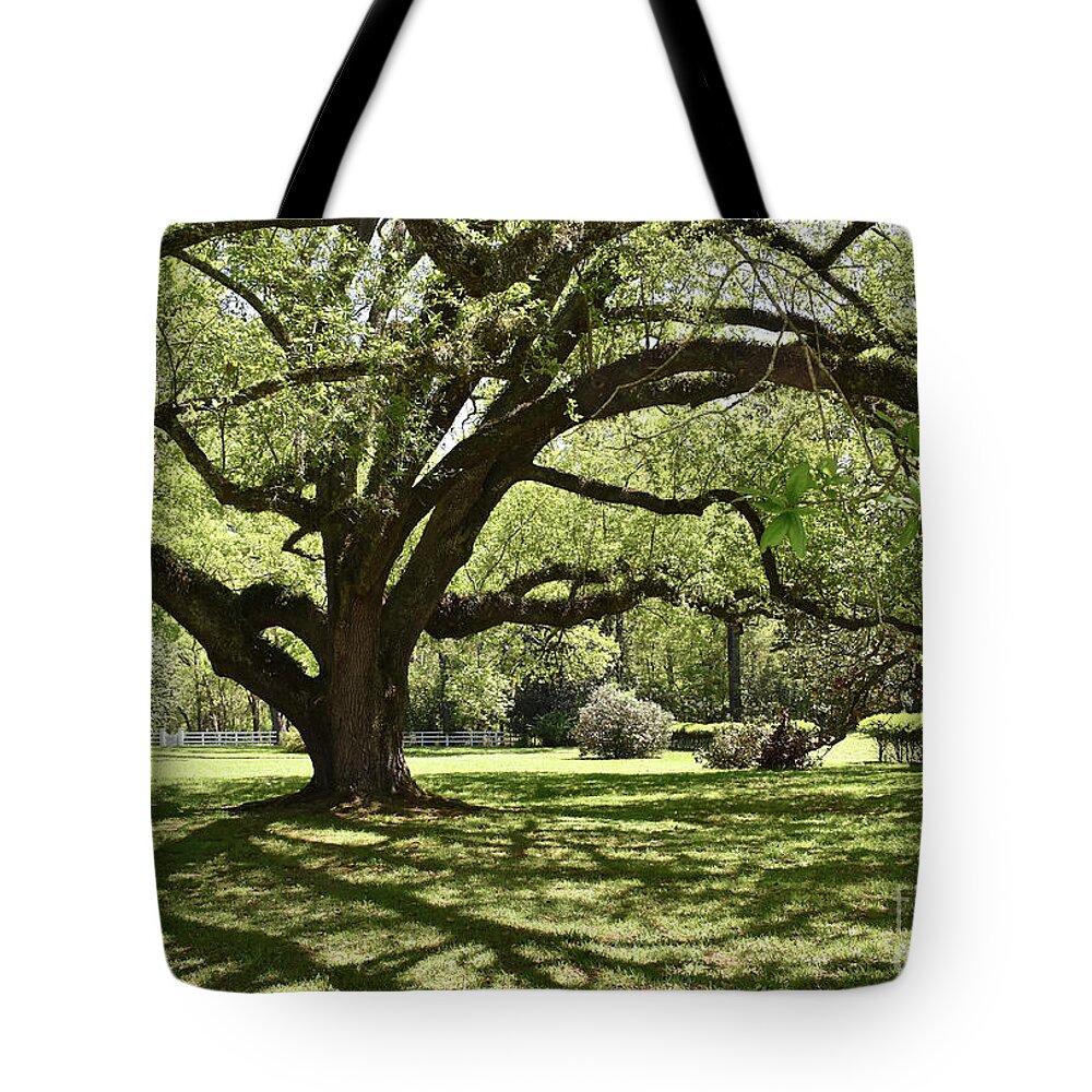 Melrose Tote Bag featuring the photograph Melrose Estate, Natchez by Ron Long
