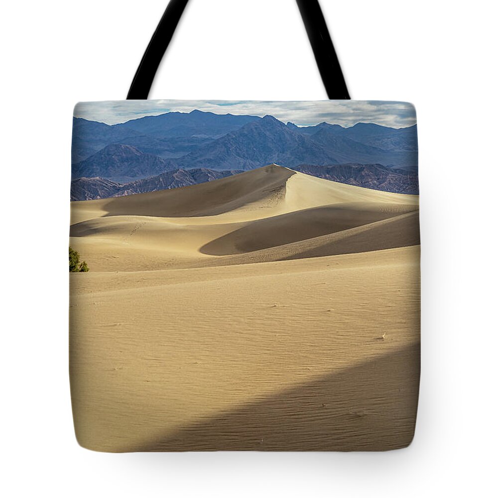  Death Valley Tote Bag featuring the photograph Mesquite Flat Morning Dunes #5 by Marian Tagliarino