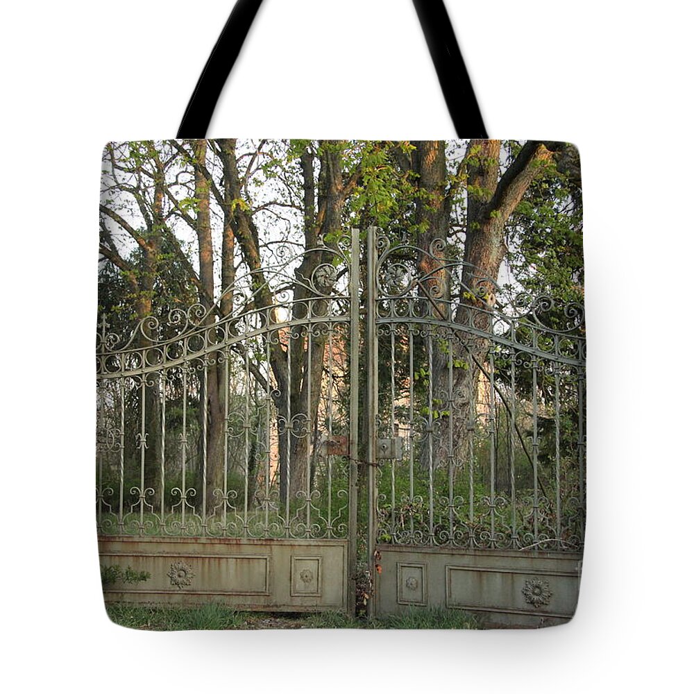 Metal Tote Bag featuring the photograph Metal Gates Germany by Diane Lesser
