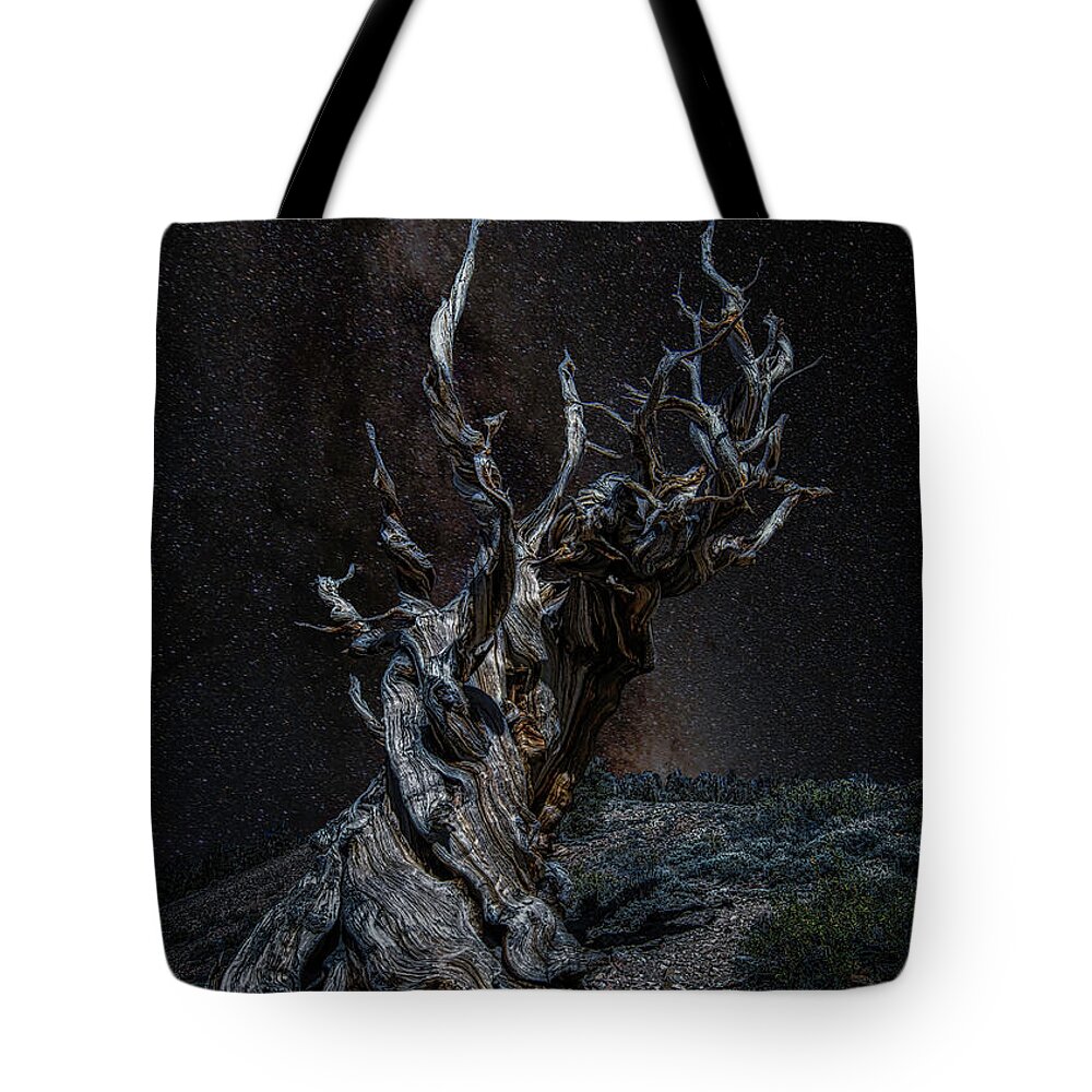 Landscape Tote Bag featuring the photograph Methuselah Night Sky by Romeo Victor