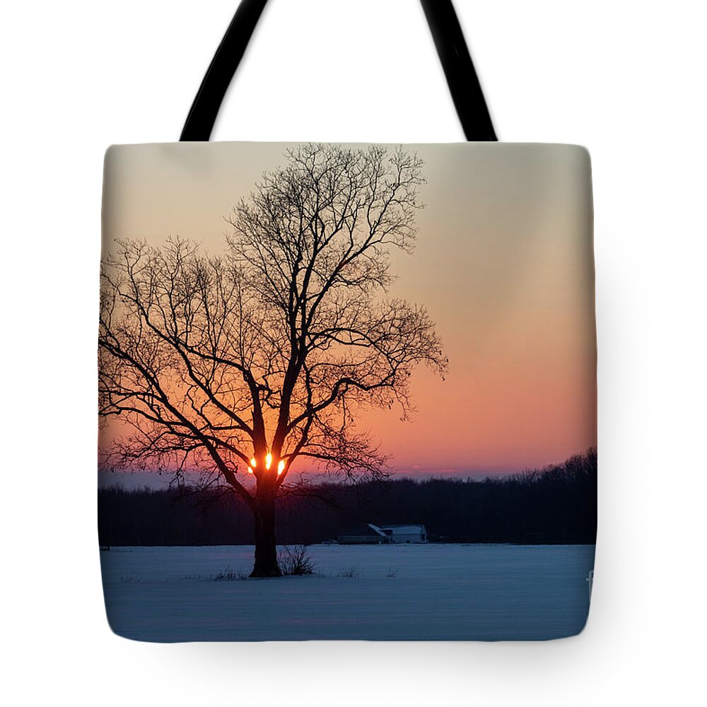 Farm Tote Bag featuring the photograph Michigan Winter Sunset by Jim West