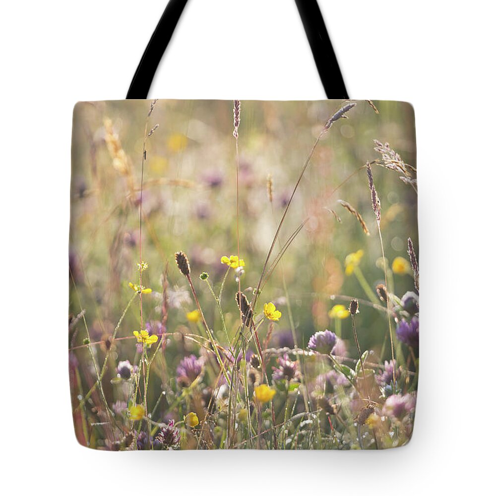Mid Summer Meadow Tote Bag featuring the photograph Mid summer meadow by Anita Nicholson