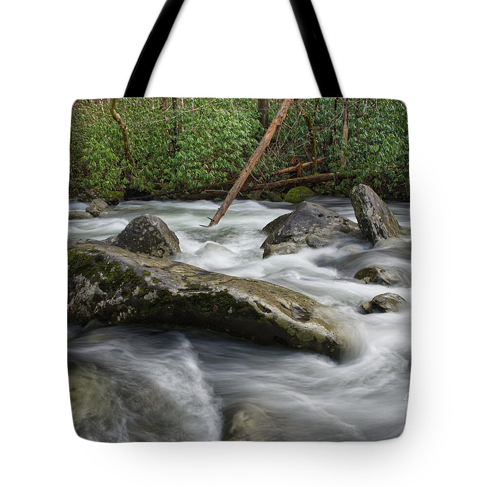 Middle Prong Little River Tote Bag featuring the photograph Middle Prong Little River 56 by Phil Perkins