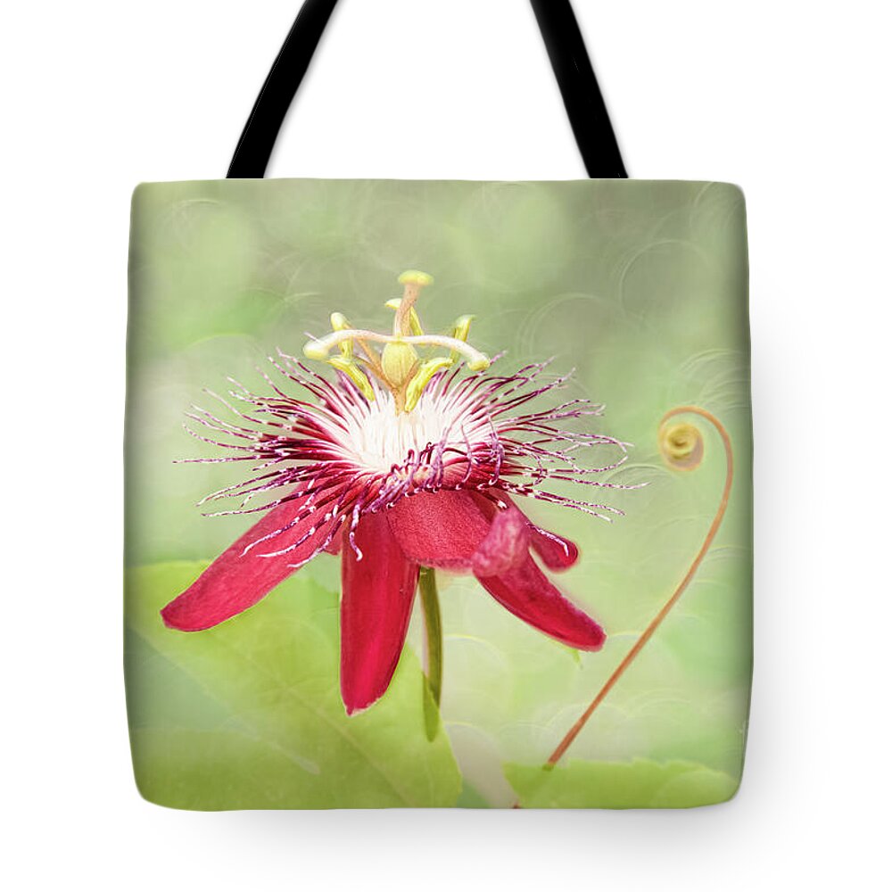 Passionflower Tote Bag featuring the photograph Midsummer's Delight by Marilyn Cornwell