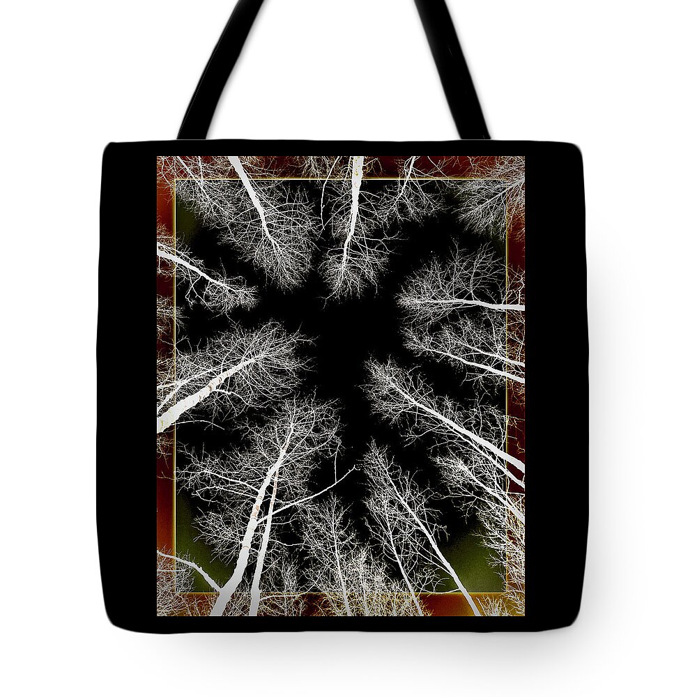Midwinter Midnight Sky Tote Bag featuring the photograph Midwinter Midnight Sky by Susan Maxwell Schmidt