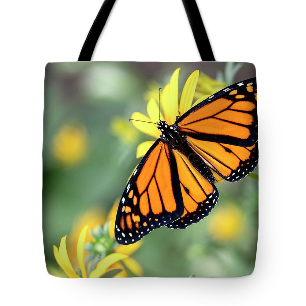 Migrating Monarch Tote Bag featuring the photograph Migrating Monarch by Patty Colabuono