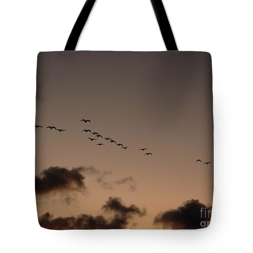 Geese Tote Bag featuring the photograph Migration Begins by AnnMarie Parson-McNamara