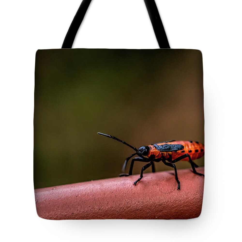 Insect Tote Bag featuring the photograph Milkweed Bug by Cathy Kovarik