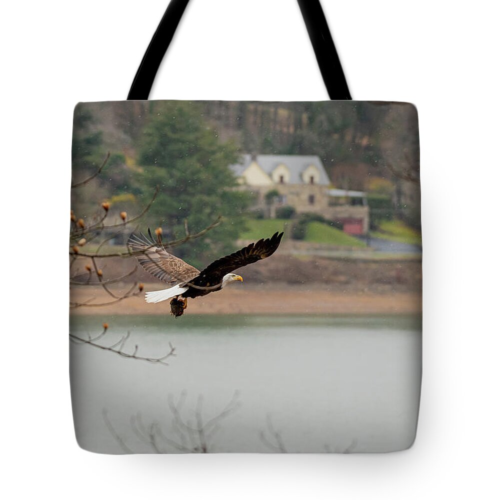 Bald Eagle Tote Bag featuring the photograph Million Dollar View by Robert J Wagner