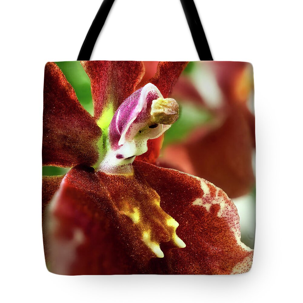 Orchid Tote Bag featuring the photograph Miltonidium Bartley Schwarz Highland 03 by Weston Westmoreland