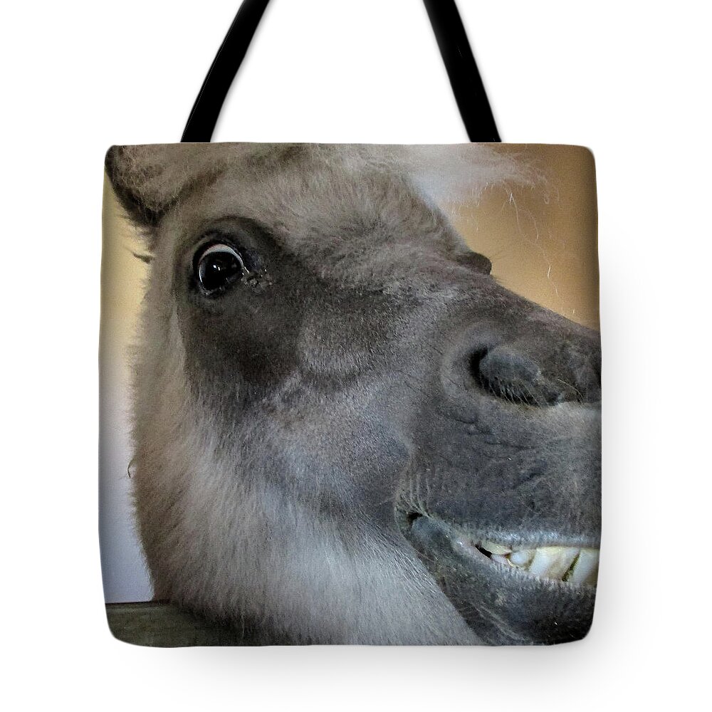 Miniature Tote Bag featuring the photograph Mini Horse Grinning by Christy Garavetto