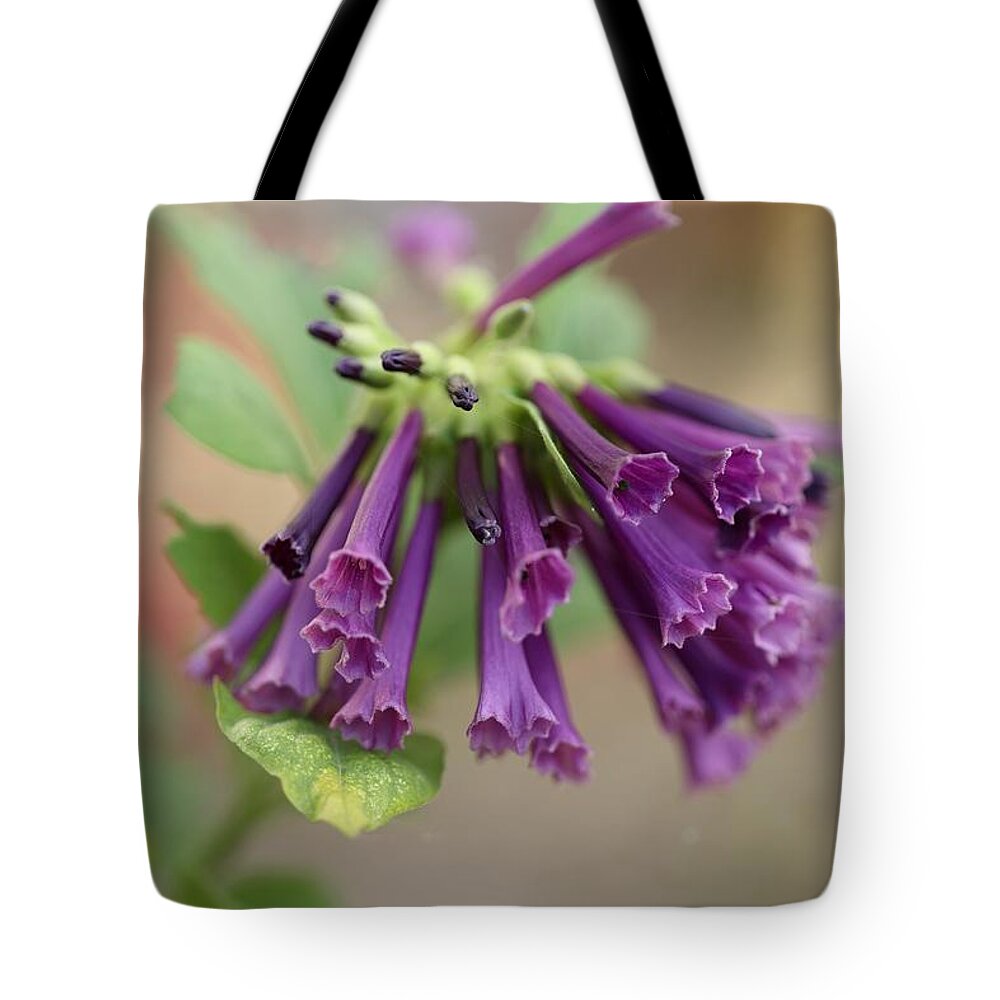 Trumpet Flower Tote Bag featuring the photograph Mini Trumpet Flowers by Mingming Jiang