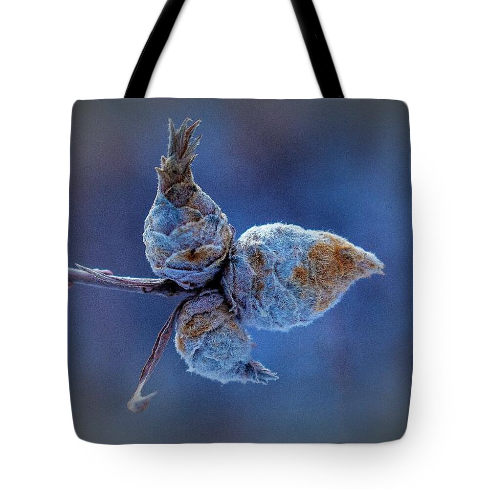 Miniature Tote Bag featuring the photograph Miniature Pine Cones...In Felt by Len Bomba