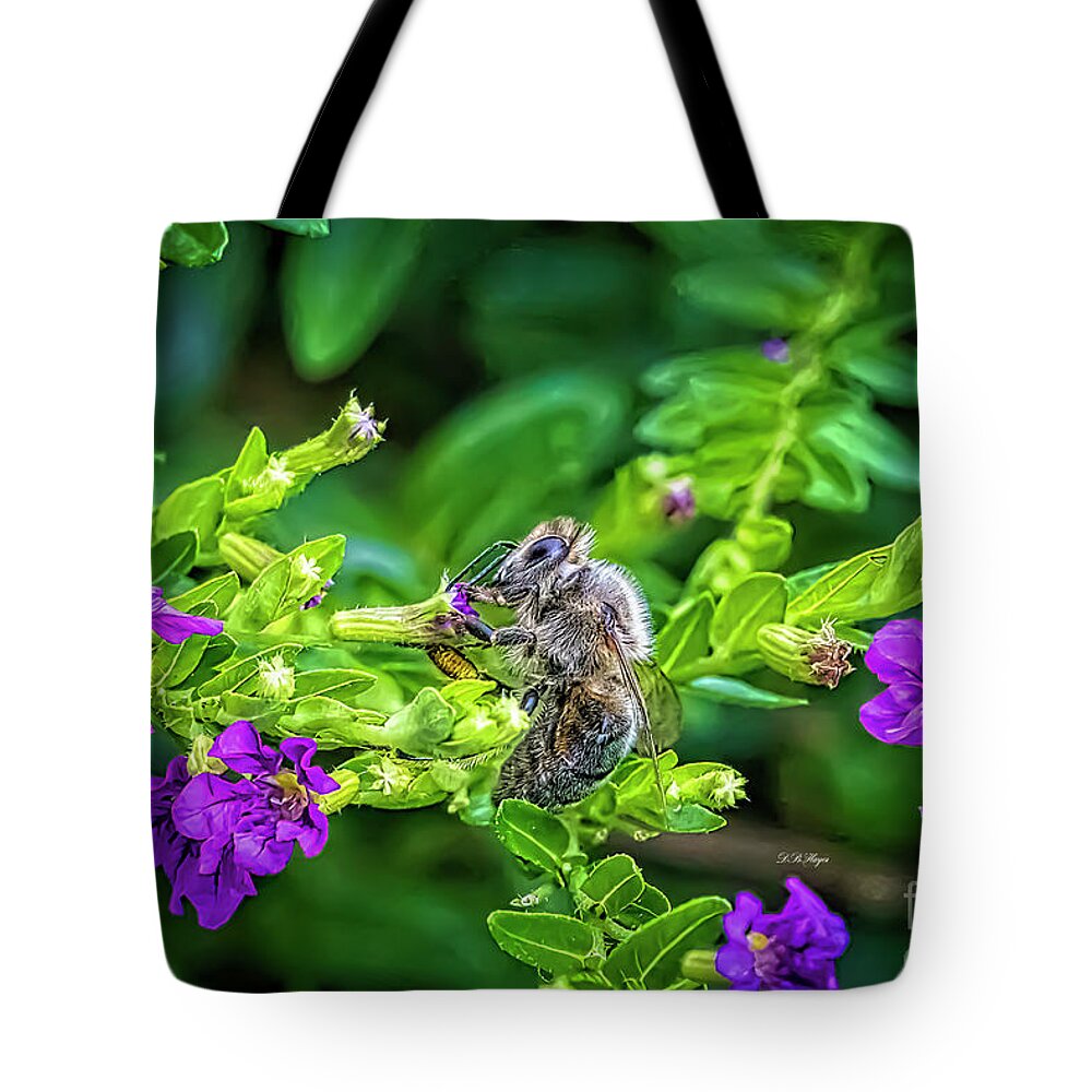 Bees Tote Bag featuring the photograph Mining Bee In Mexican Heather by DB Hayes