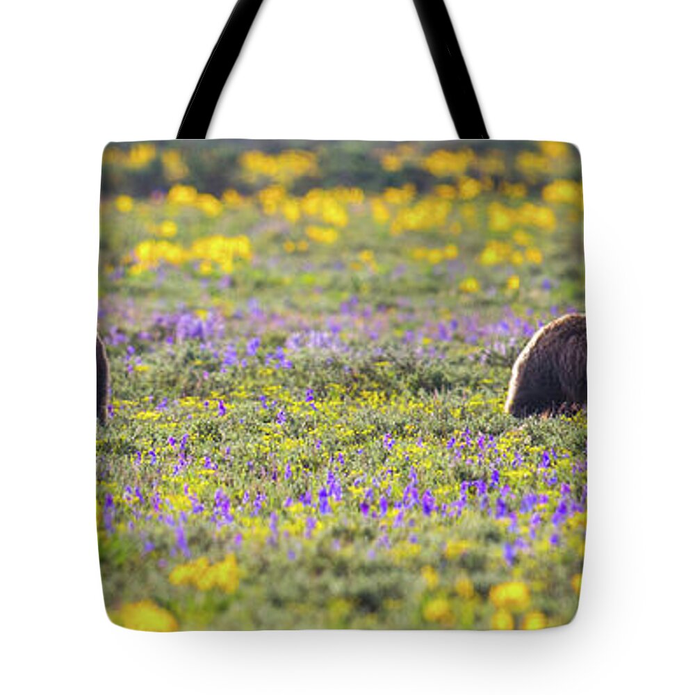  Tote Bag featuring the photograph Mirror Grizzly by Kevin Dietrich
