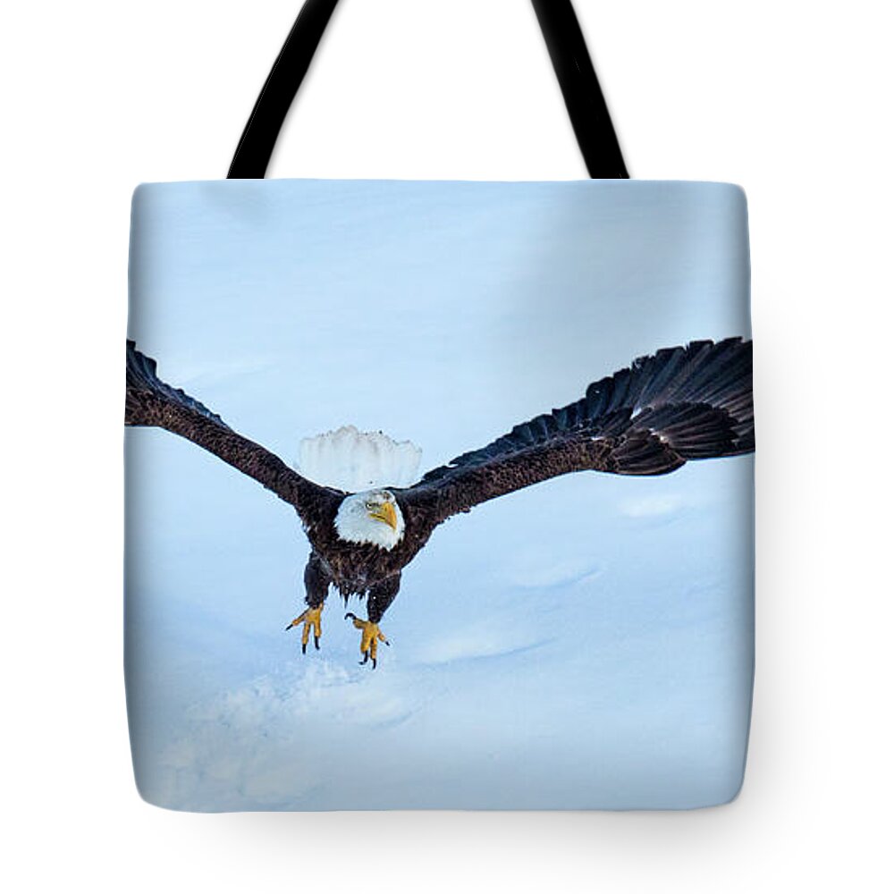 Eagle Tote Bag featuring the photograph Missed Chances by Kevin Dietrich
