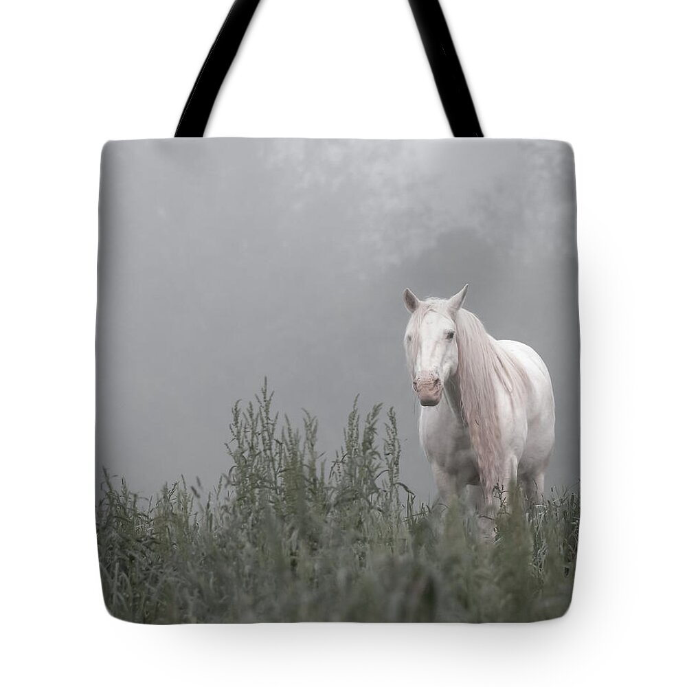 Missouri Tote Bag featuring the photograph Missing Shawnee by Holly Ross