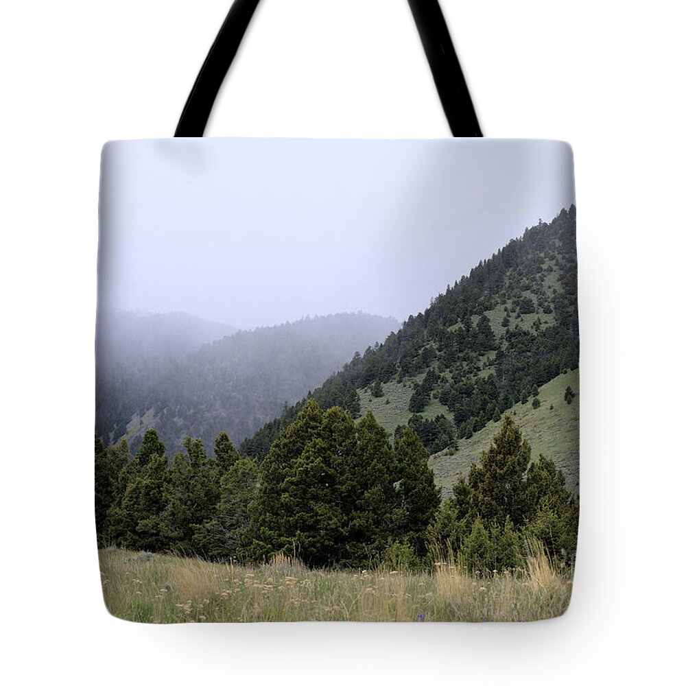 Scenic Tote Bag featuring the photograph Mist in the Mountains by Kae Cheatham