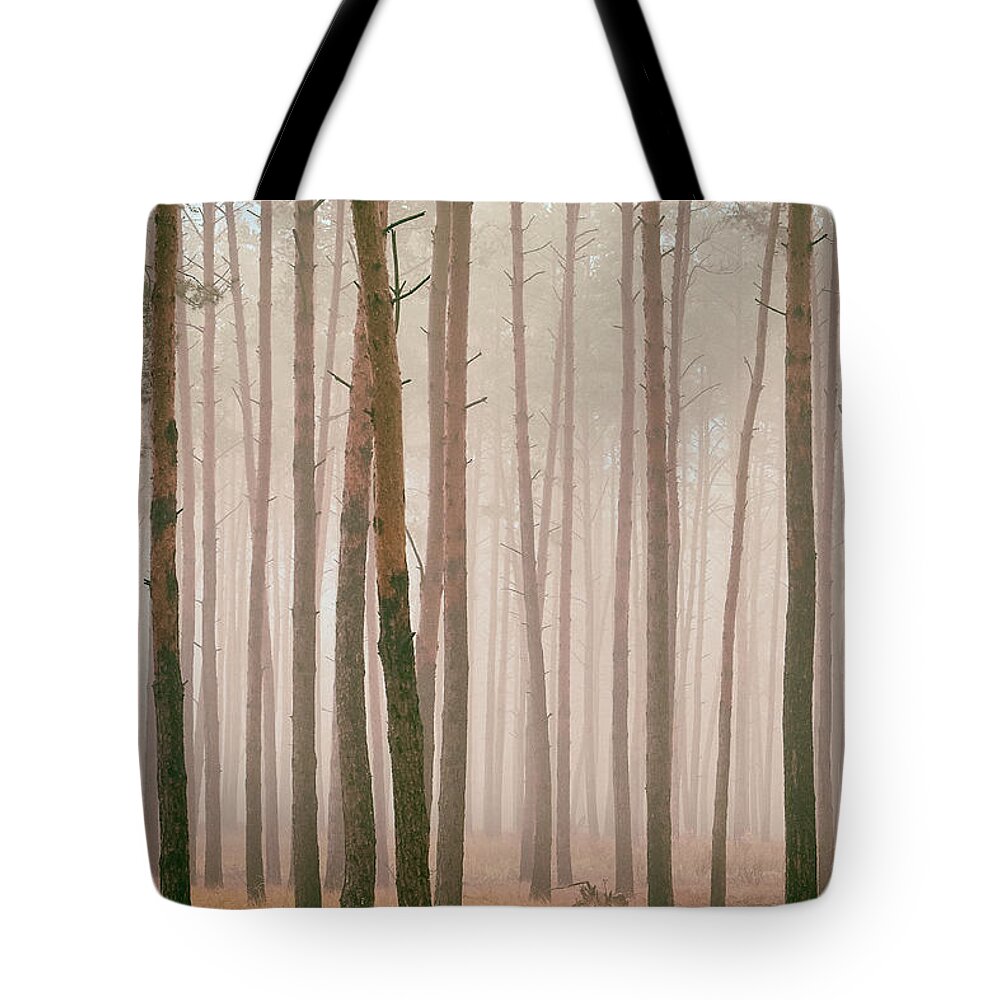 Perspective Tote Bag featuring the photograph Misty Pines by Andrii Maykovskyi