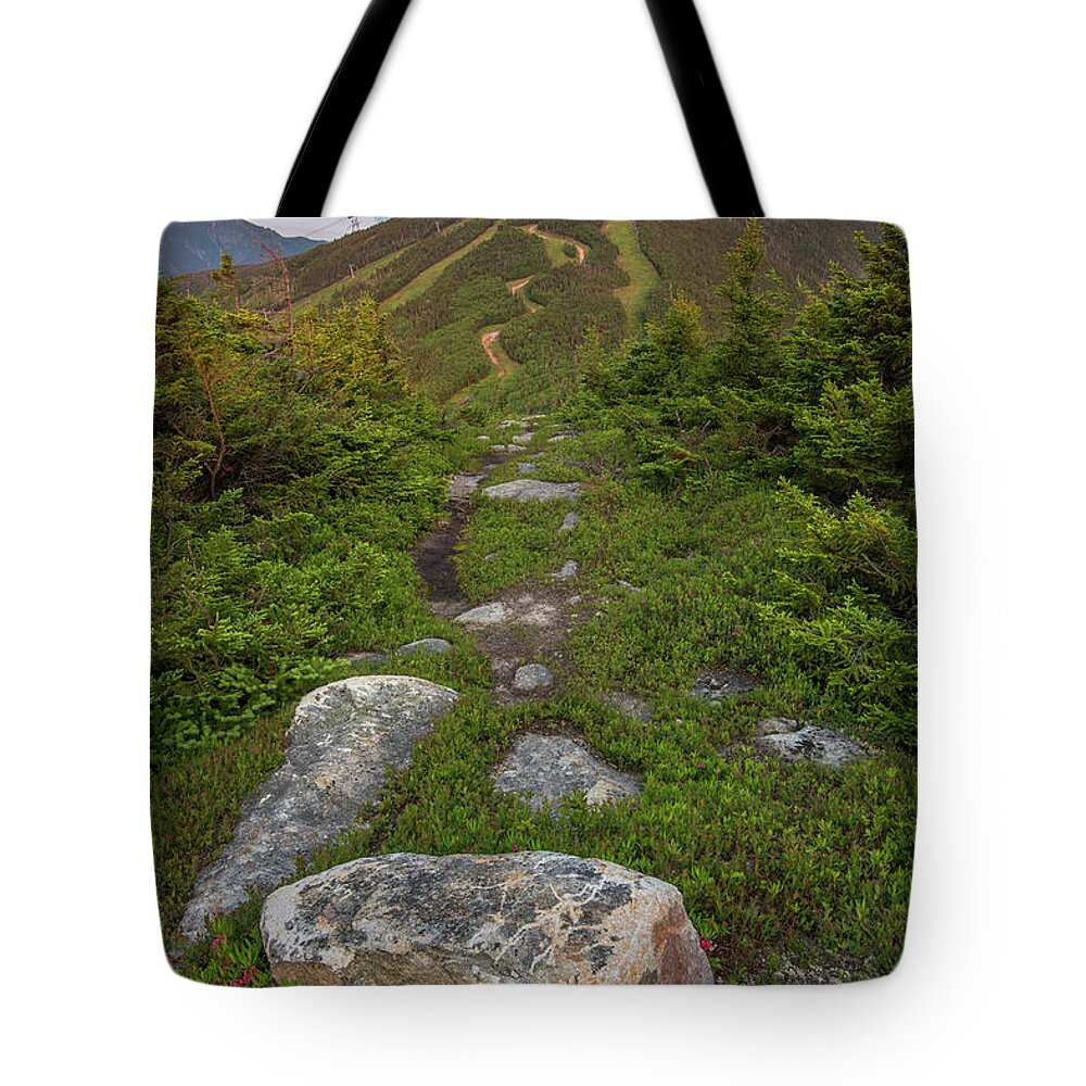 Mittersill Tote Bag featuring the photograph Mittersill Summer Sunset Light by Chris Whiton