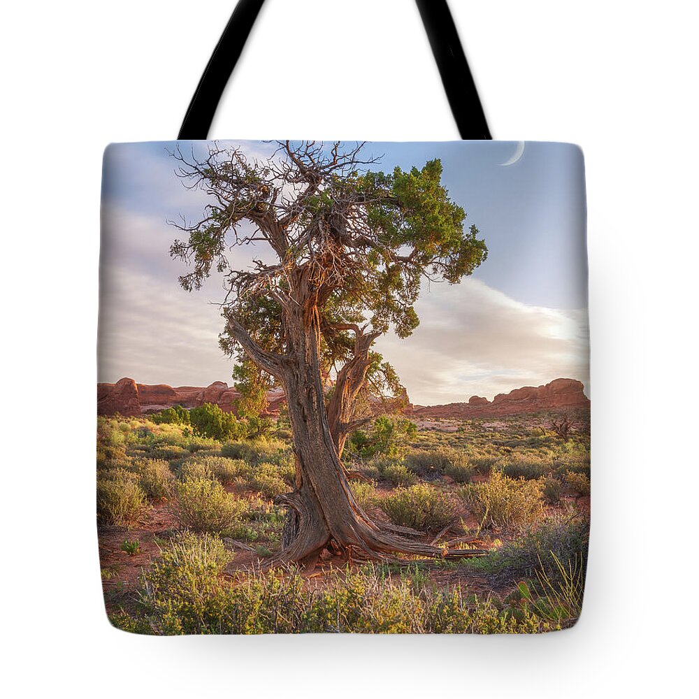 Moab Tote Bag featuring the photograph Moab Morning Moon by Darren White