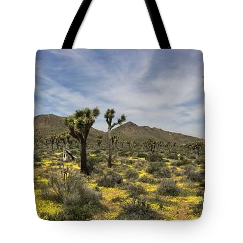 Joshua Tree National Park Tote Bag featuring the photograph Mojave Desert in Spring by Brett Harvey