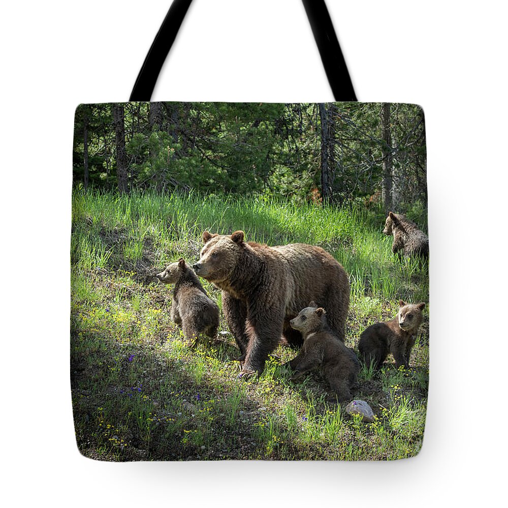 Wildlife Tote Bag featuring the photograph Mom and the Quads by Sandra Bronstein