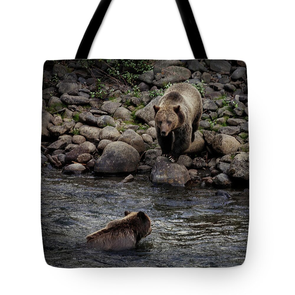 Grizzly Tote Bag featuring the photograph Moma Bear Scolding Baby Bear by Craig J Satterlee
