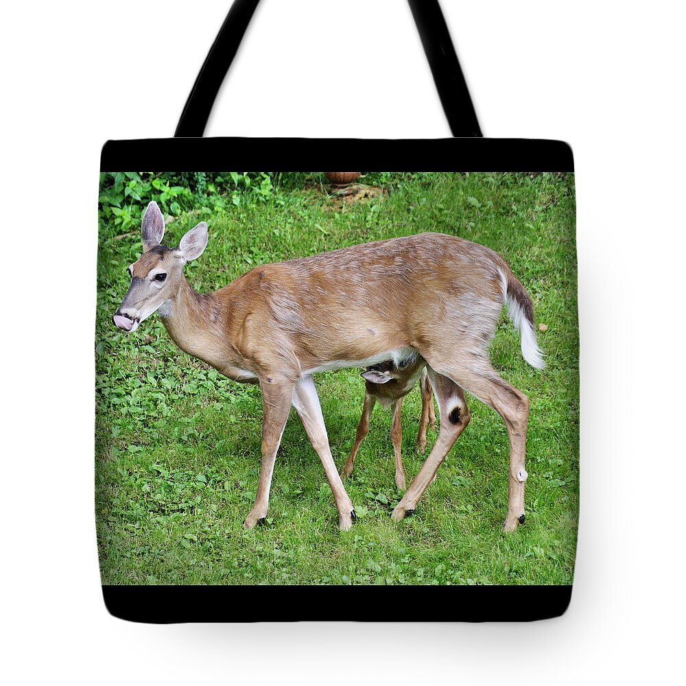 Deer Tote Bag featuring the photograph Mommy Deer and Fawn Drinking by Russel Considine