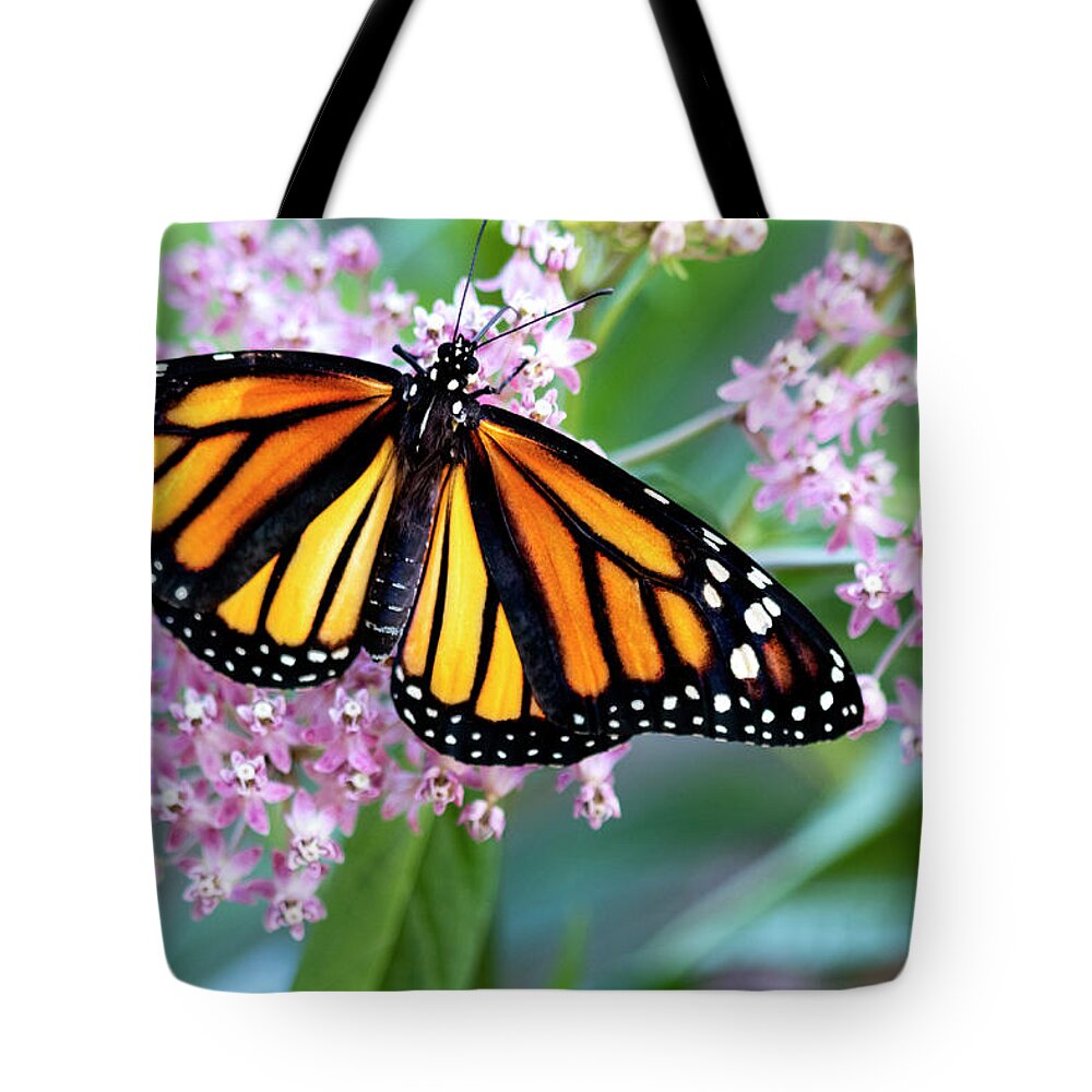 Monarch Tote Bag featuring the photograph Monarch Butterfly on Milkweed by Patty Colabuono