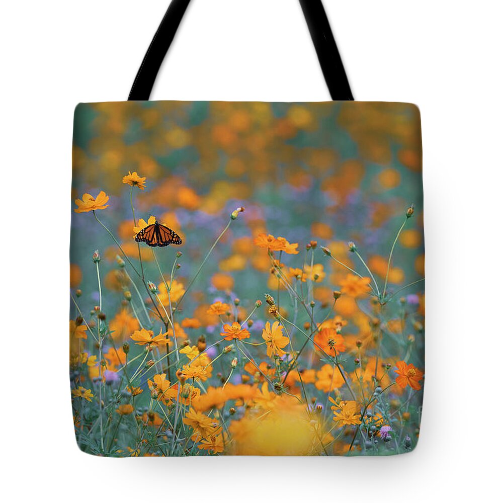 Coreopsis Tote Bag featuring the photograph Monarch in pollinator meadow BU10666 by Mark Graf