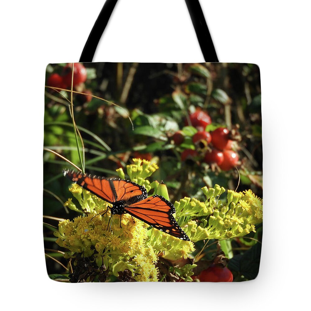 Monarch Butterfly Tote Bag featuring the photograph Monarch on Beach Goldenrod by Kristin Hatt