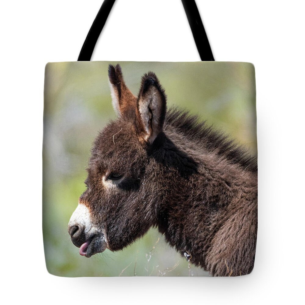 Wild Burros Tote Bag featuring the photograph Monday Face by Mary Hone