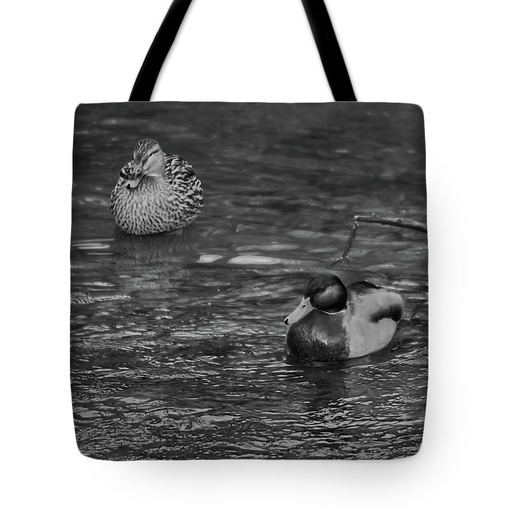 Monochrome Tote Bag featuring the photograph Monochrome of a male and female Mallard duck by Pics By Tony