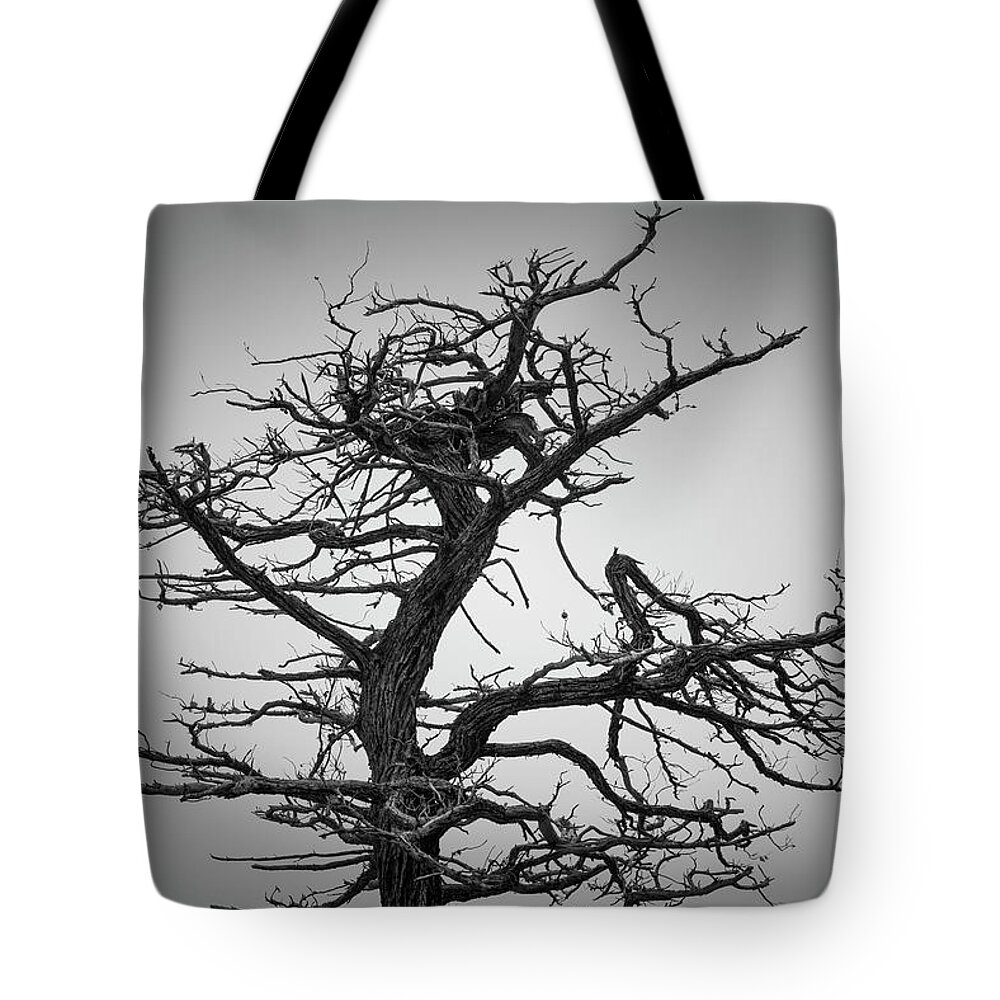 17 Mile Drive Tote Bag featuring the photograph Monterey Peninsula VII BW by David Gordon