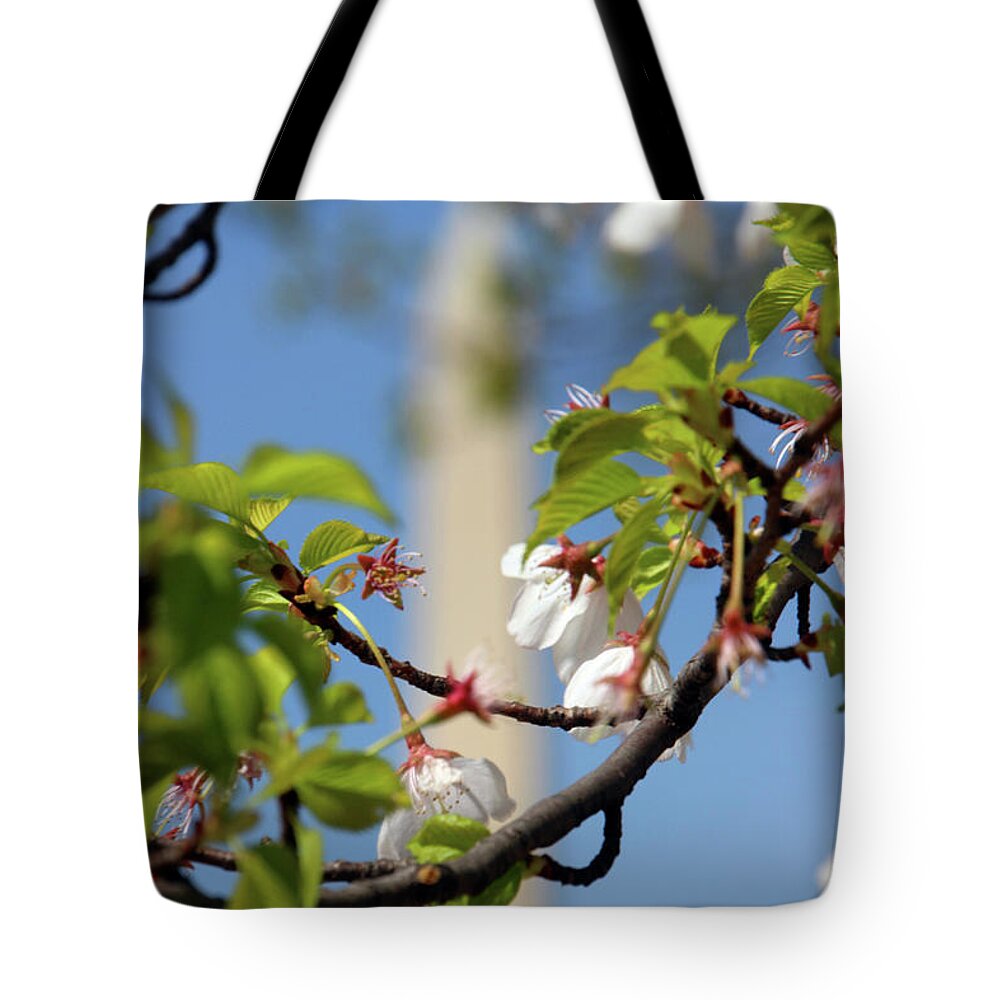 Washington Monument Tote Bag featuring the photograph Background Monument by Carolyn Stagger Cokley