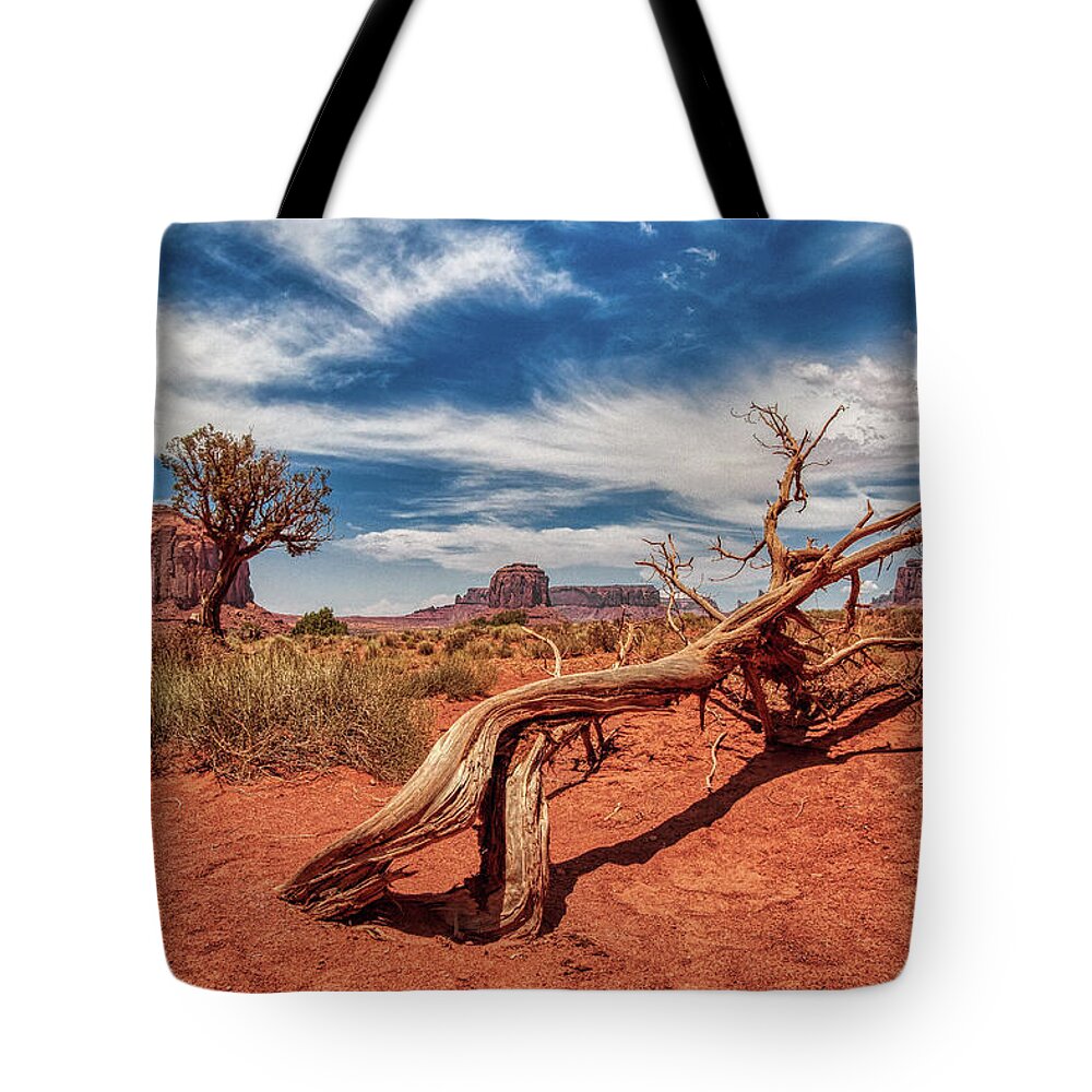 Plant Tote Bag featuring the photograph Monument Valley 02 by Micah Offman