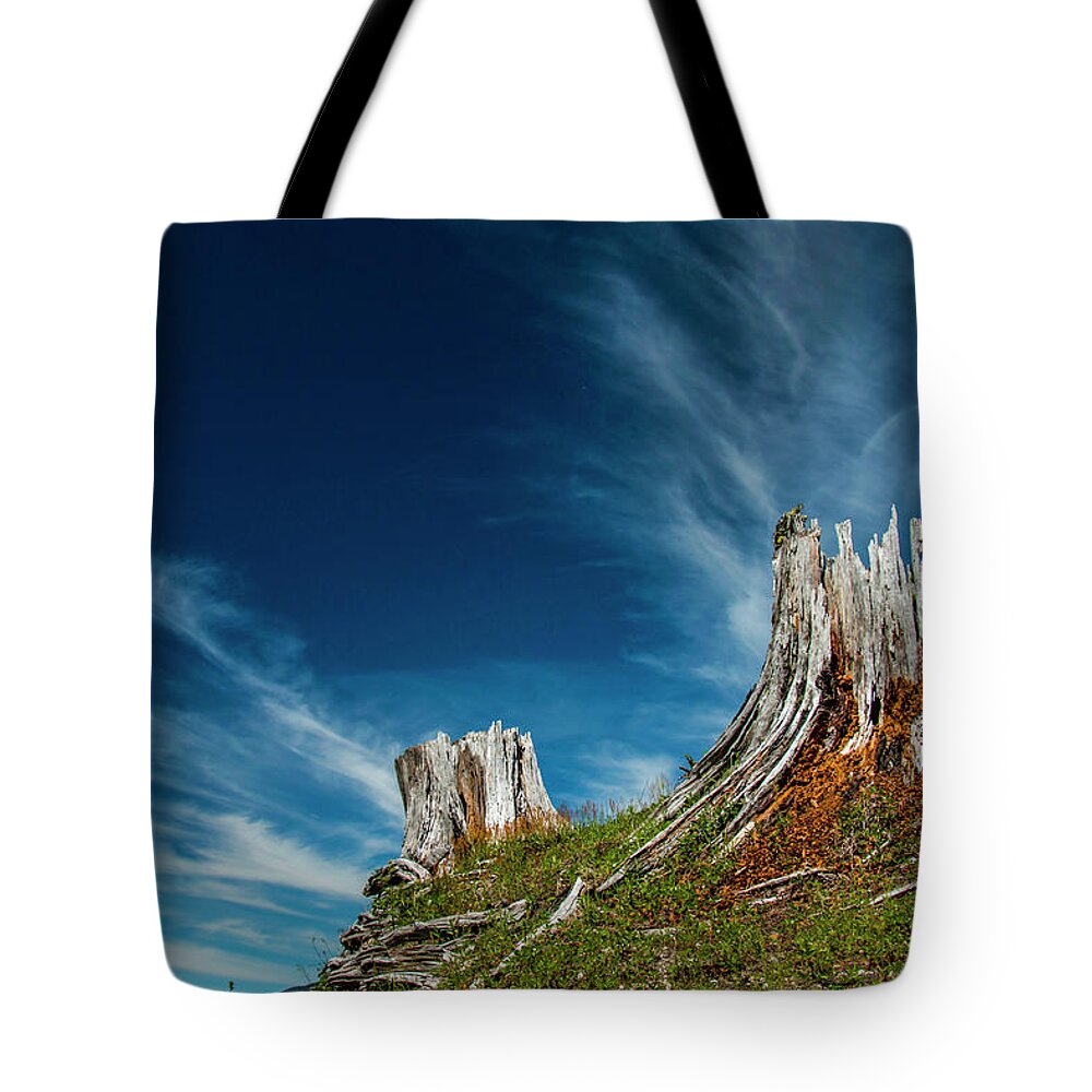 Landscape Tote Bag featuring the photograph Monuments of St Helens by Doug Scrima