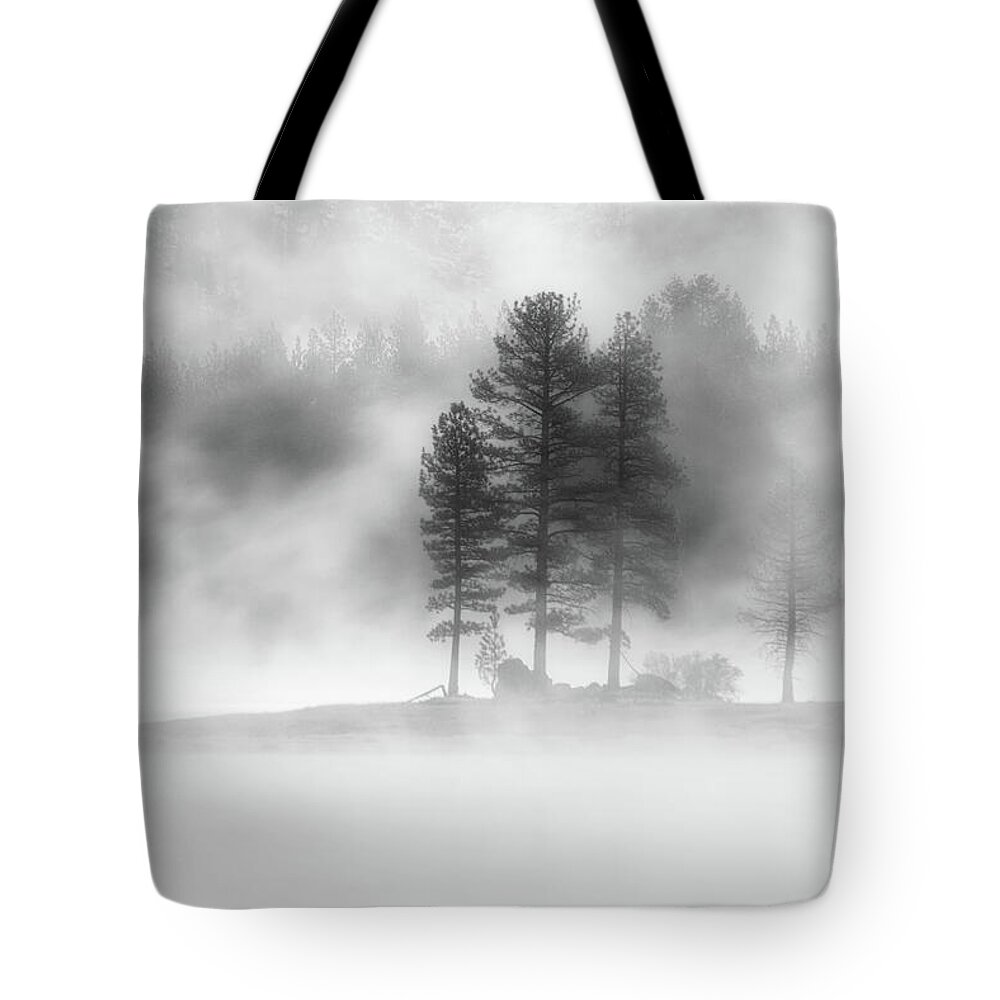 Lake Tote Bag featuring the photograph Moody Dawn by Mike Lee