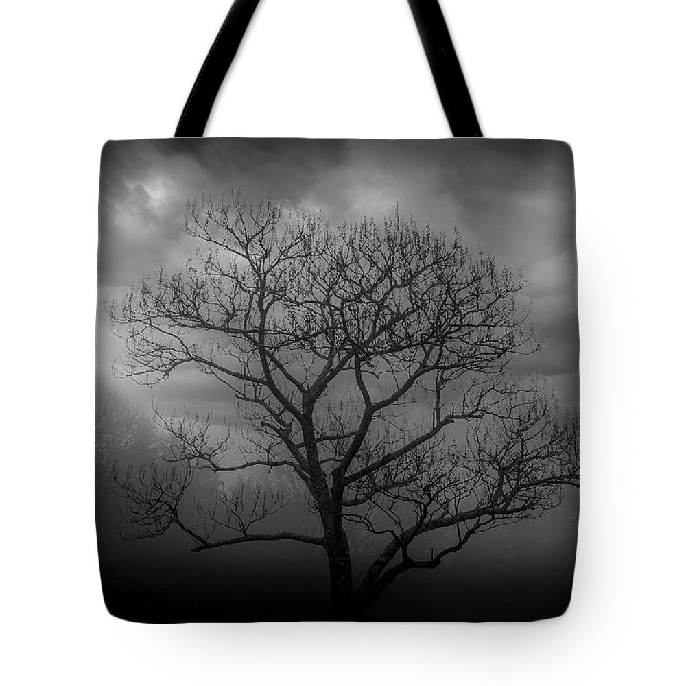 Mist Tote Bag featuring the photograph Moody Tree by Chris Boulton