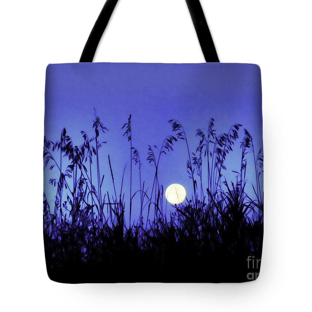 Full Moon Tote Bag featuring the photograph Moon Grasses by AnnMarie Parson-McNamara