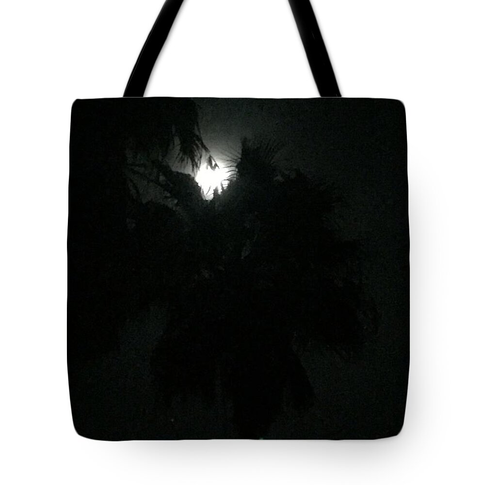 Jamaica Tote Bag featuring the photograph Moon Over Jamaica by Lisa White