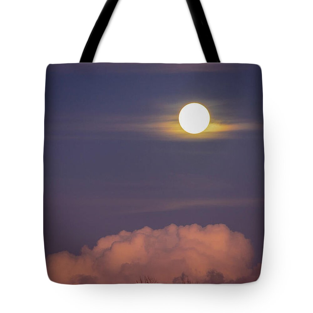 Moon Tote Bag featuring the photograph Moon Rise Over South Florida by Blair Damson